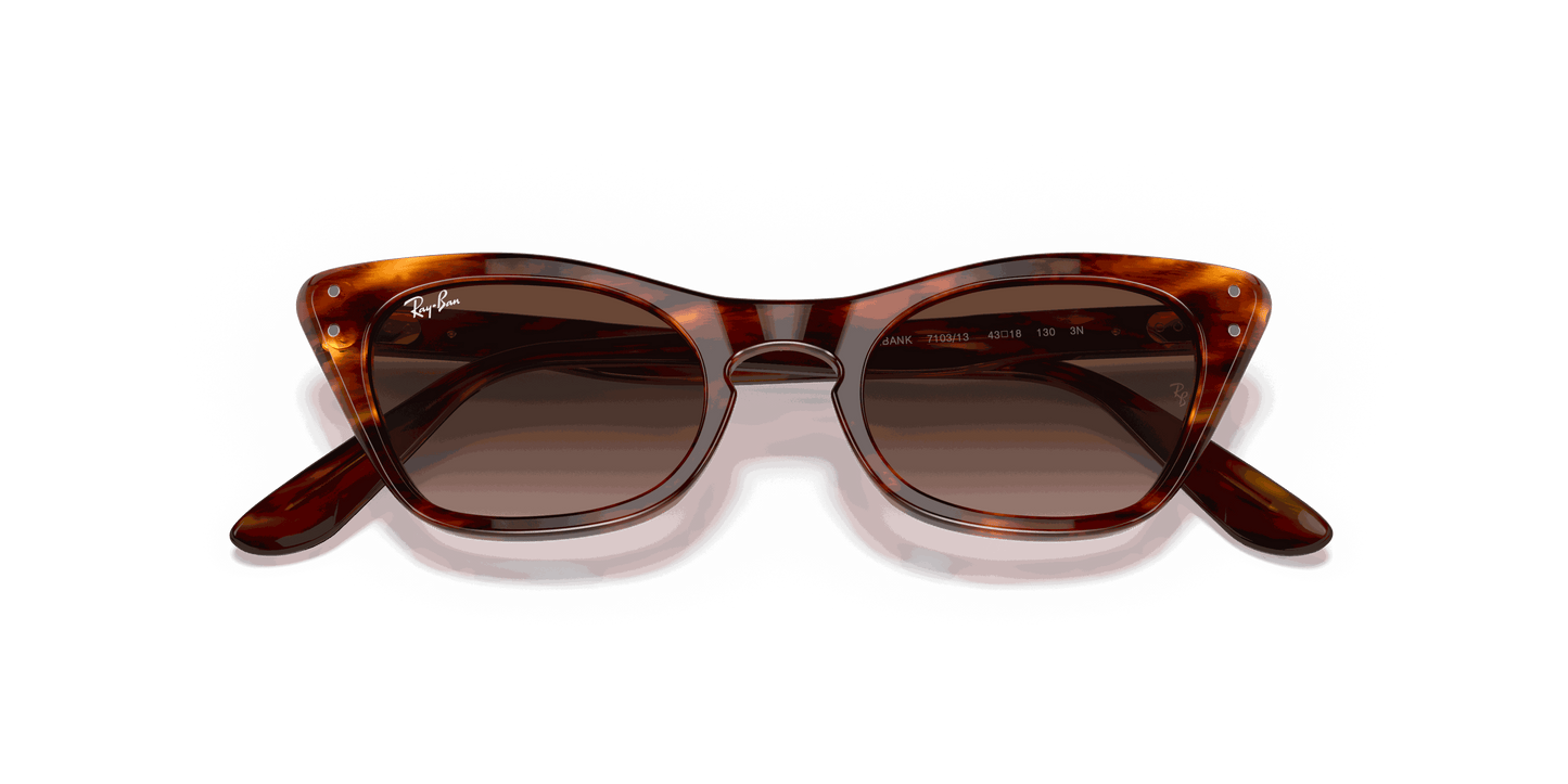 [Gradient Brown Lenses, Polished Striped Havana Frame]