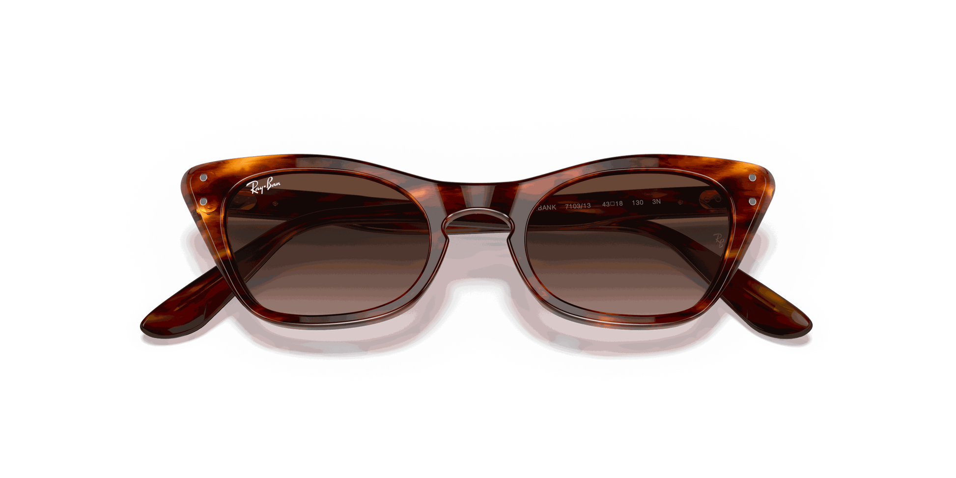 [Gradient Brown Lenses, Polished Striped Havana Frame]