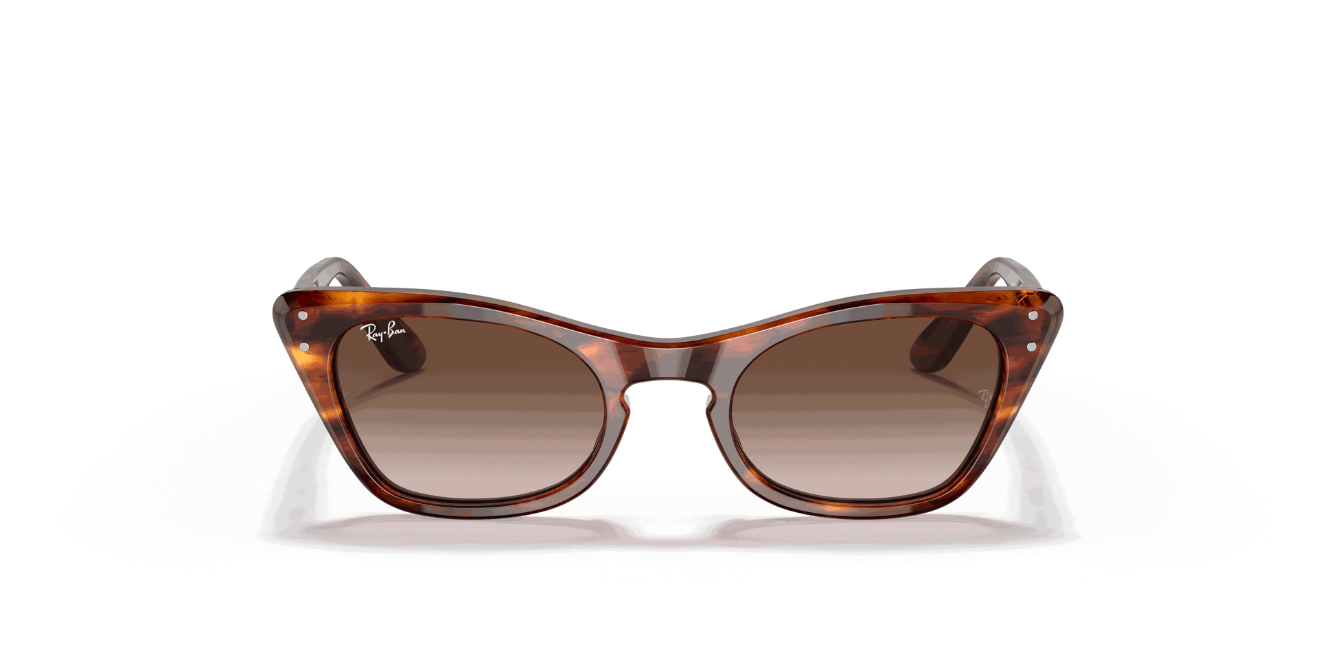 [Gradient Brown Lenses, Polished Striped Havana Frame]