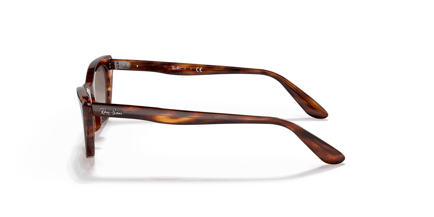 [Gradient Brown Lenses, Polished Striped Havana Frame]