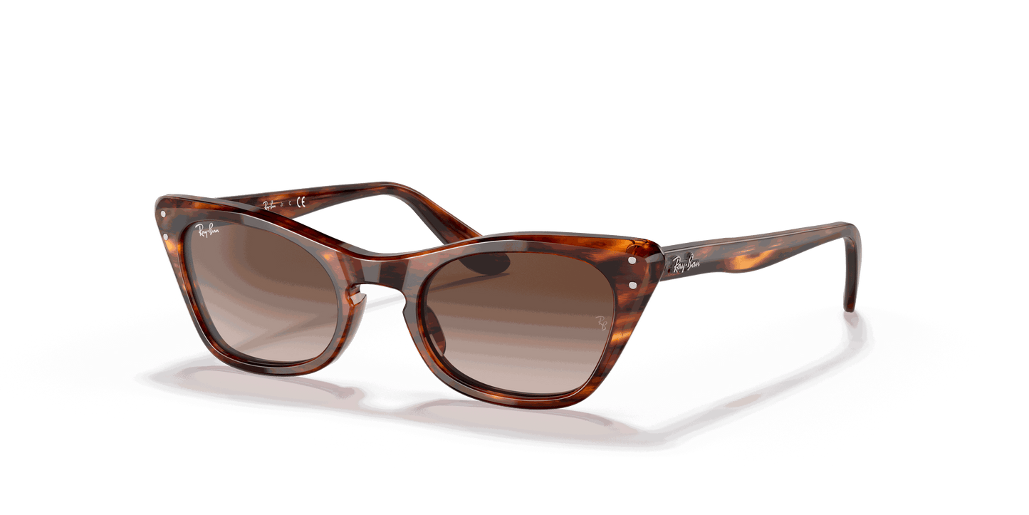 [Gradient Brown Lenses, Polished Striped Havana Frame]