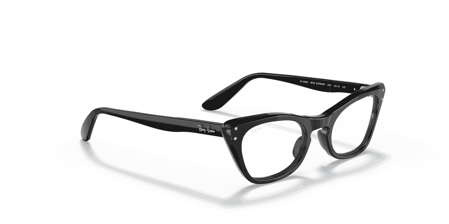 [Clear Lenses, Polished Black Frame]