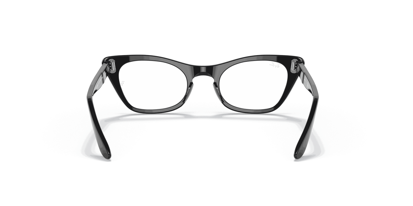 [Clear Lenses, Polished Black Frame]