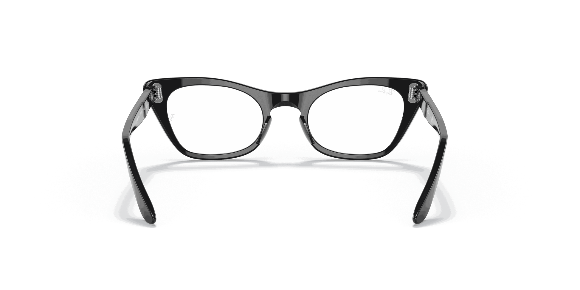 [Clear Lenses, Polished Black Frame]