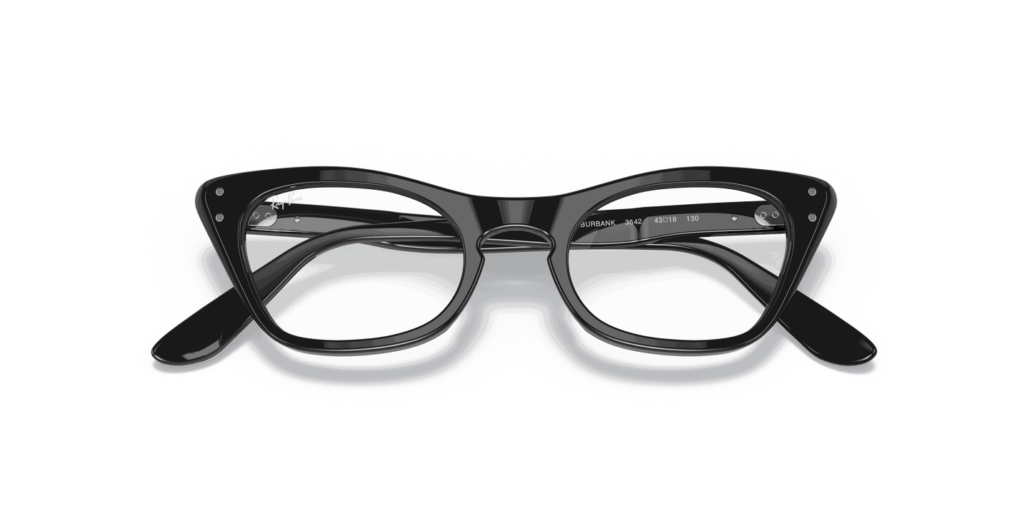 [Clear Lenses, Polished Black Frame]