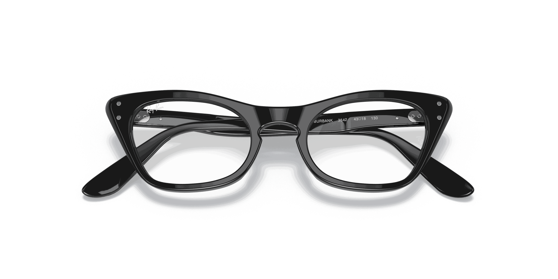 [Clear Lenses, Polished Black Frame]