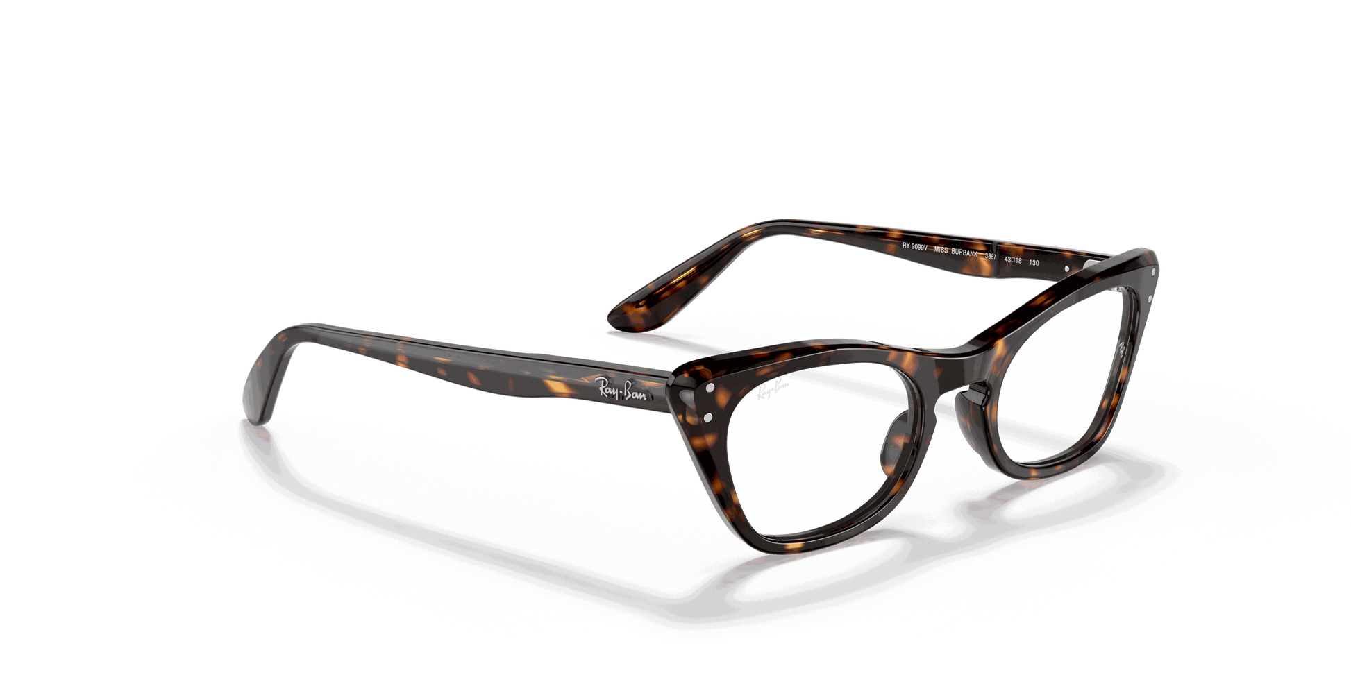 [Clear Lenses, Polished Havana Frame]
