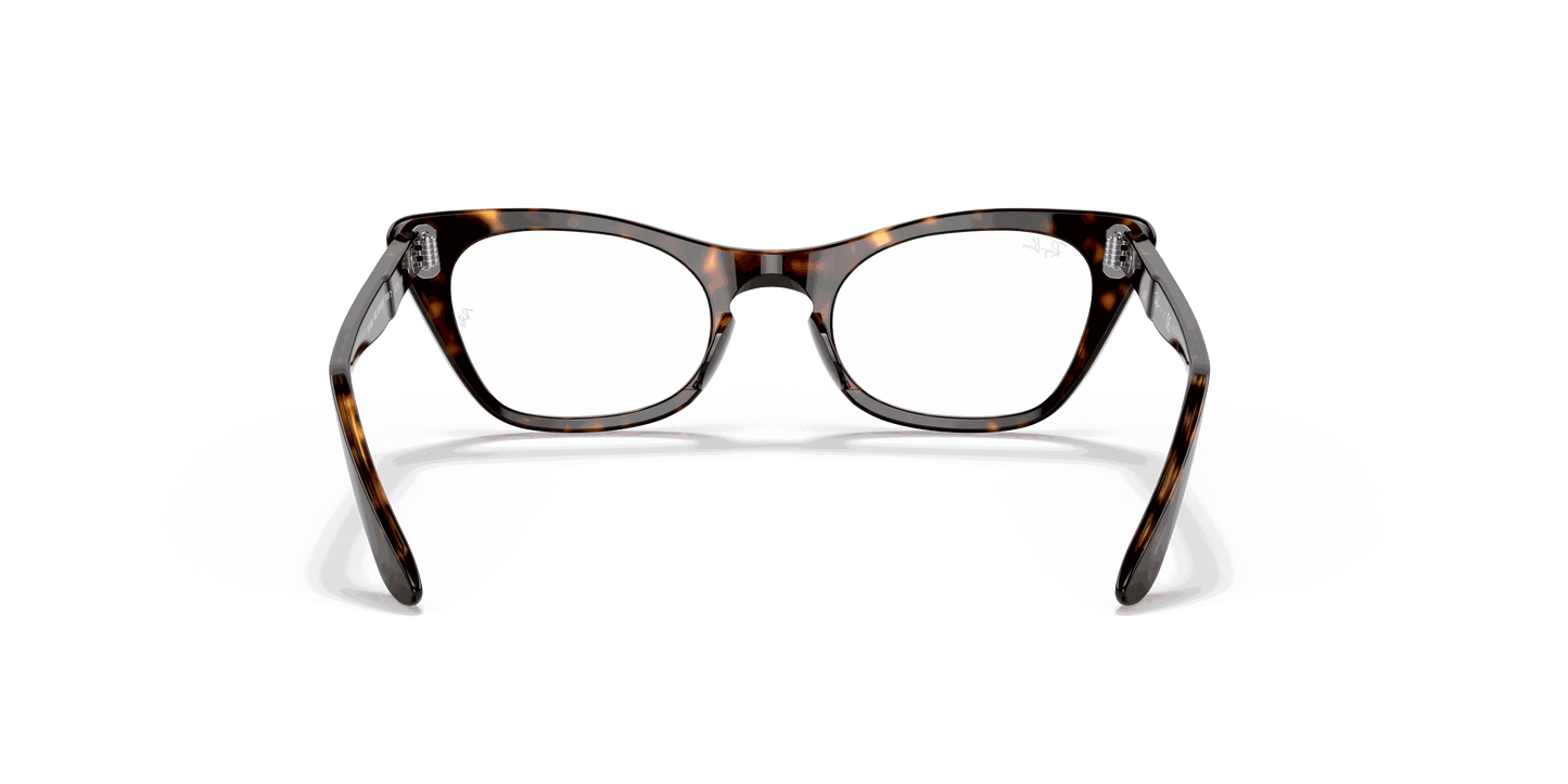 [Clear Lenses, Polished Havana Frame]