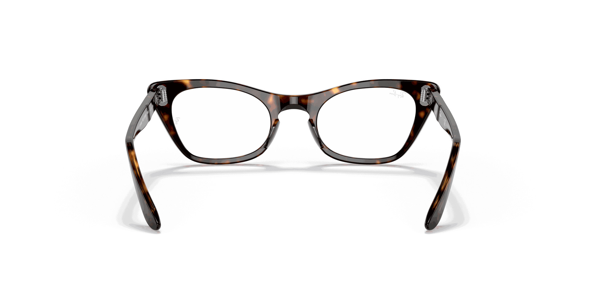 [Clear Lenses, Polished Havana Frame]