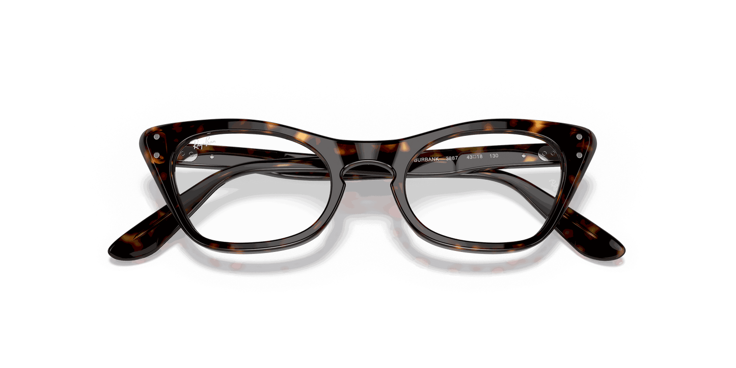[Clear Lenses, Polished Havana Frame]