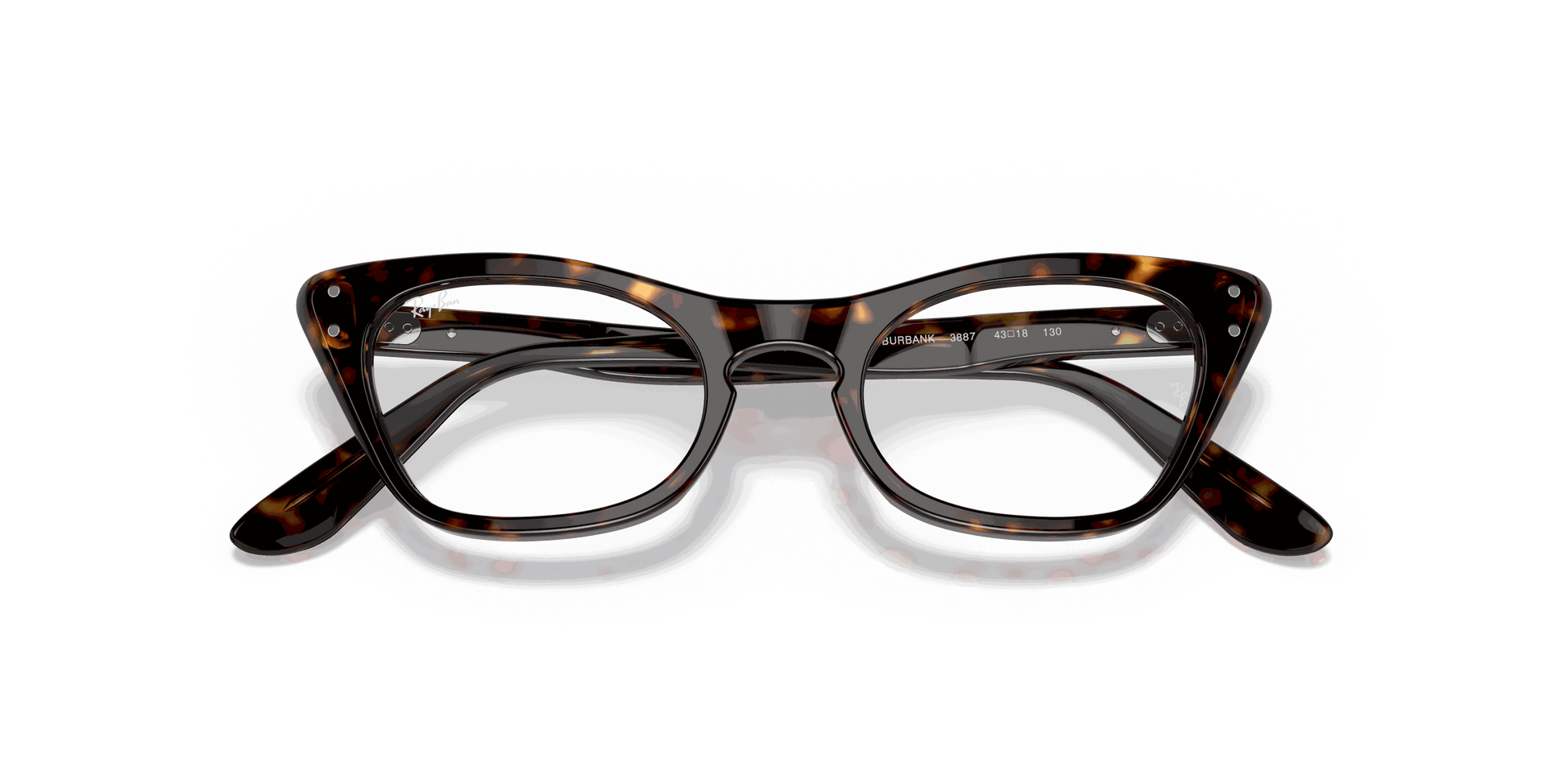 [Clear Lenses, Polished Havana Frame]