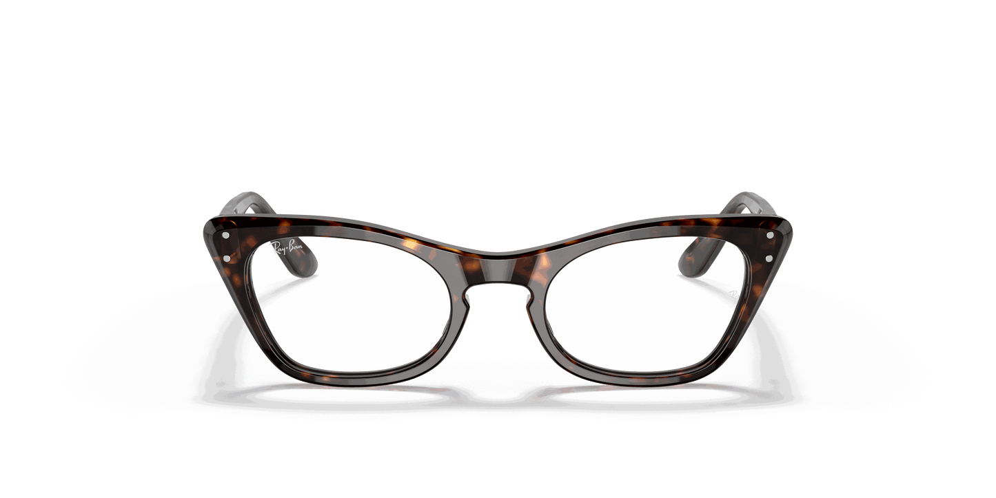 [Clear Lenses, Polished Havana Frame]