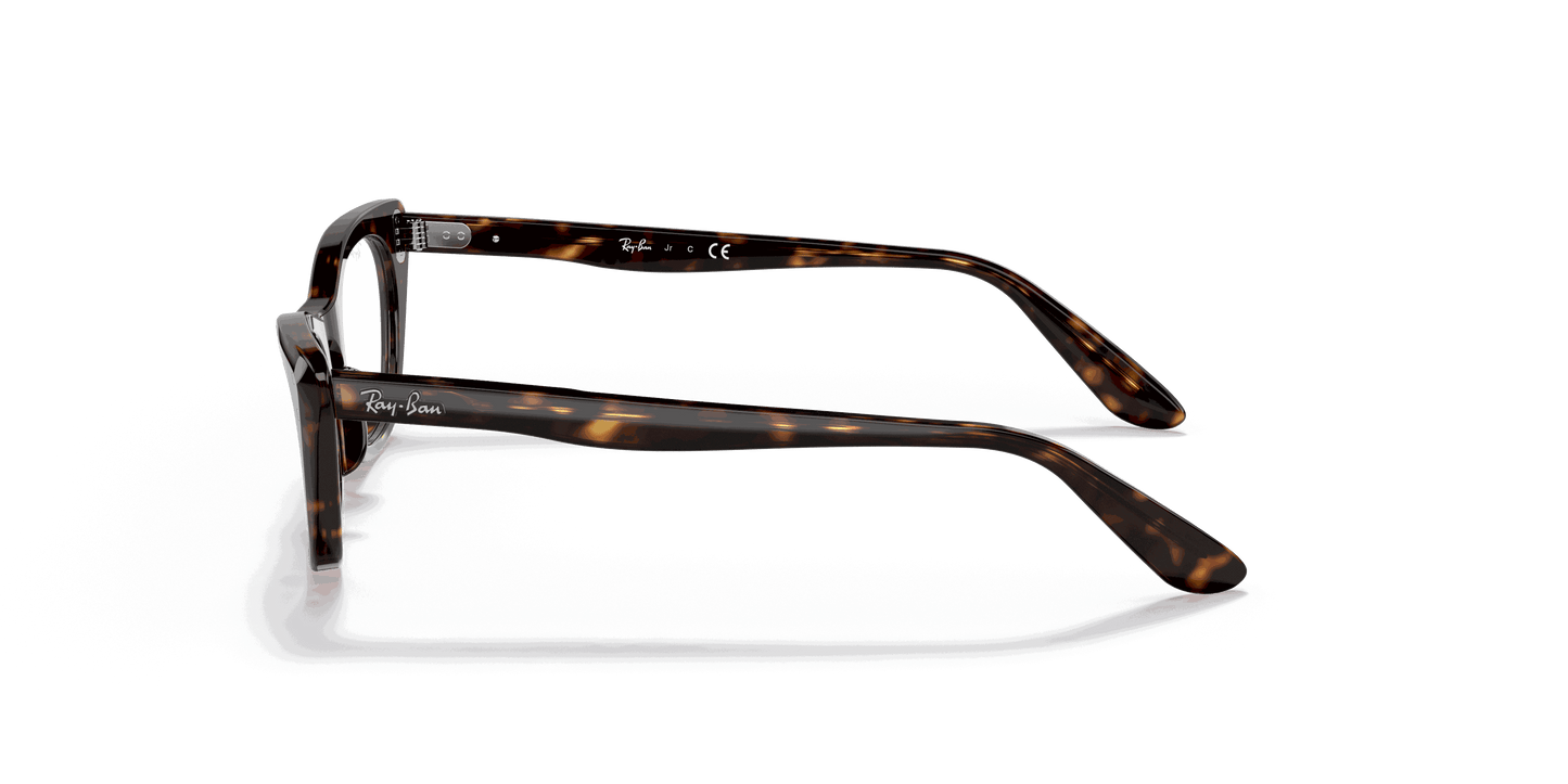 [Clear Lenses, Polished Havana Frame]