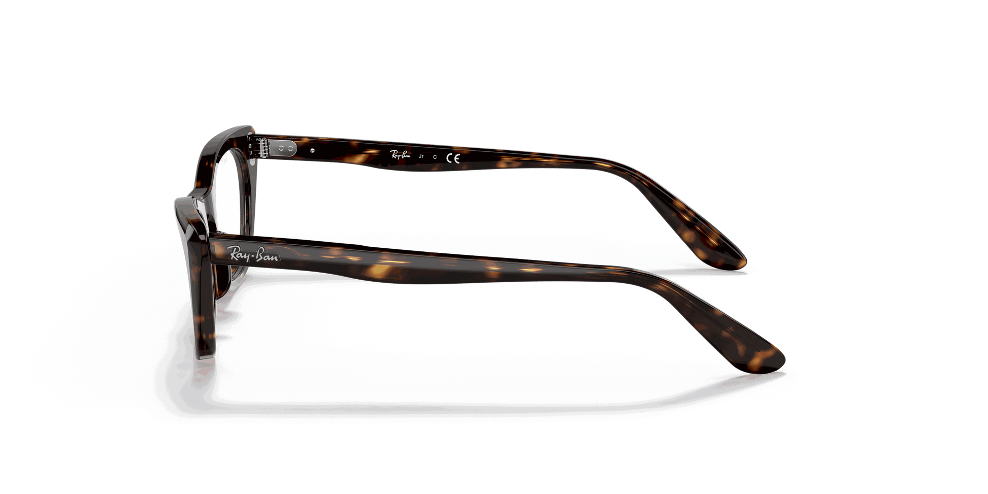 [Clear Lenses, Polished Havana Frame]