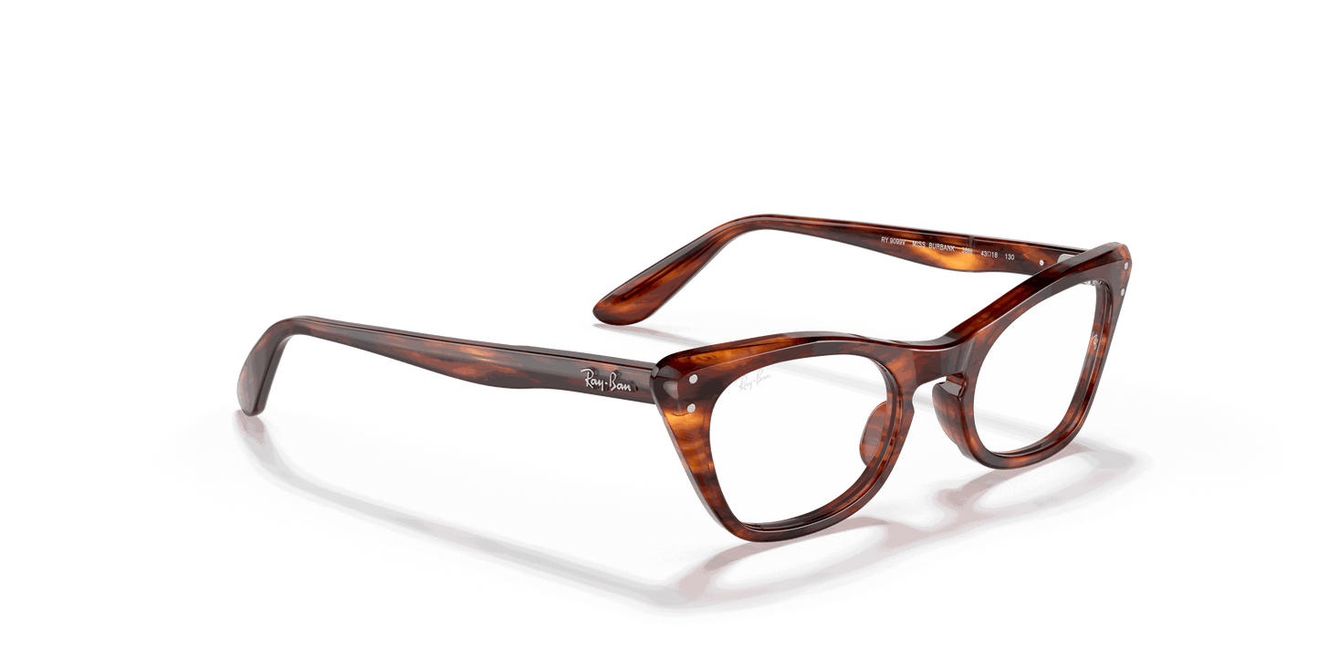 [Clear Lenses, Polished Striped Havana Frame]