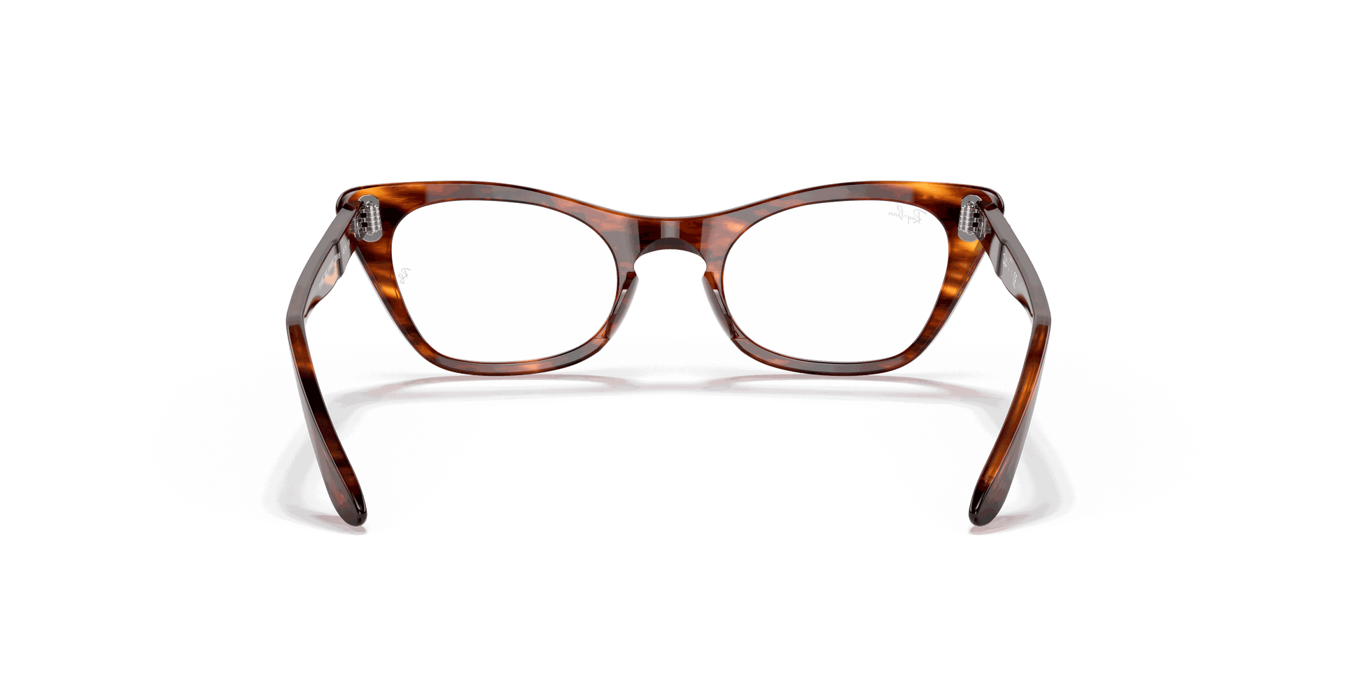 [Clear Lenses, Polished Striped Havana Frame]