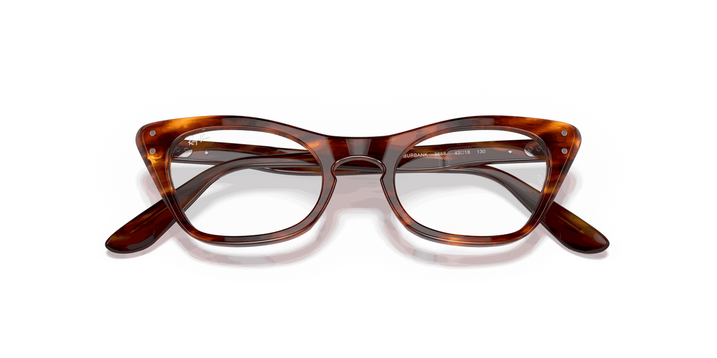 [Clear Lenses, Polished Striped Havana Frame]