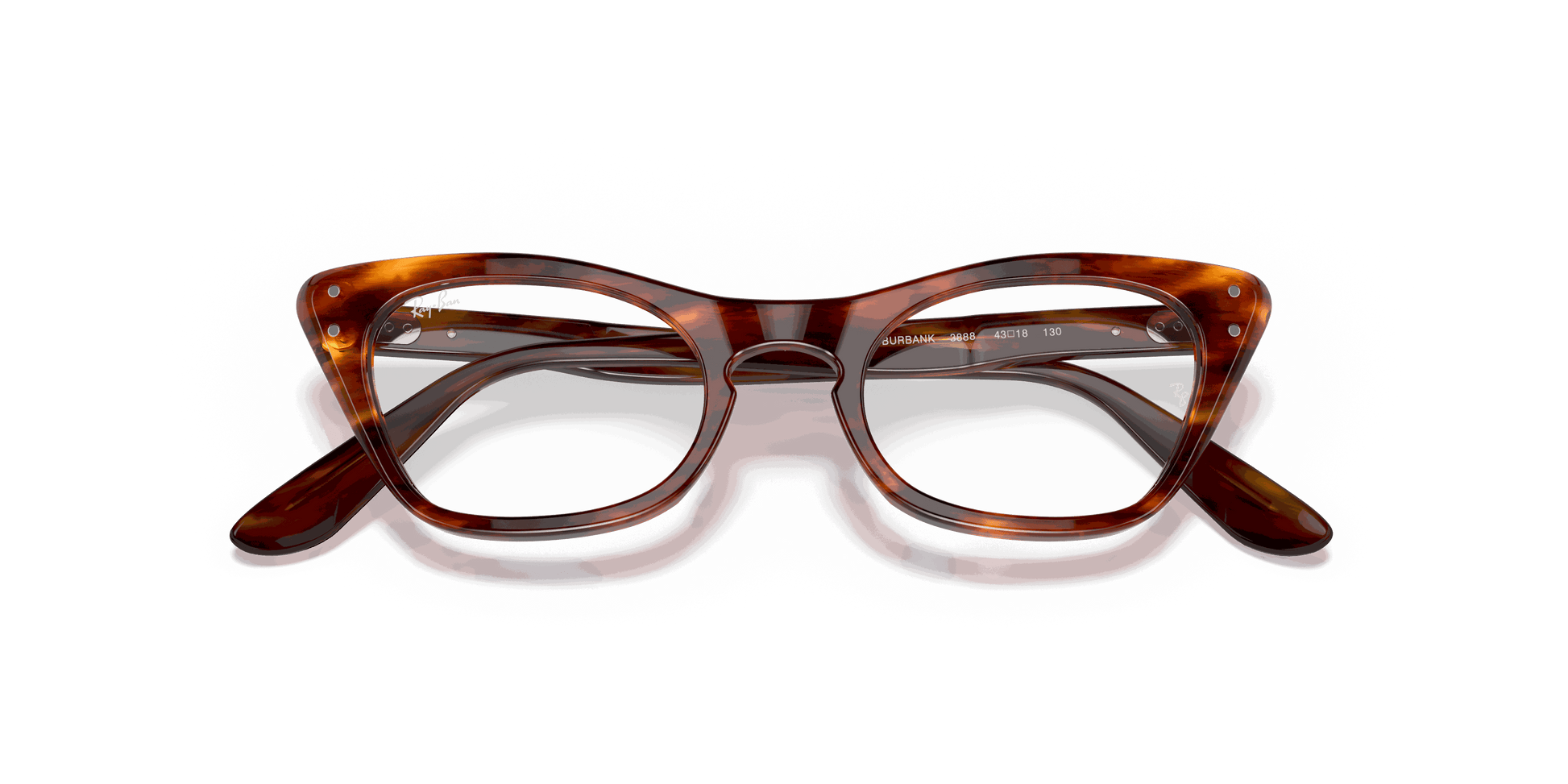 [Clear Lenses, Polished Striped Havana Frame]