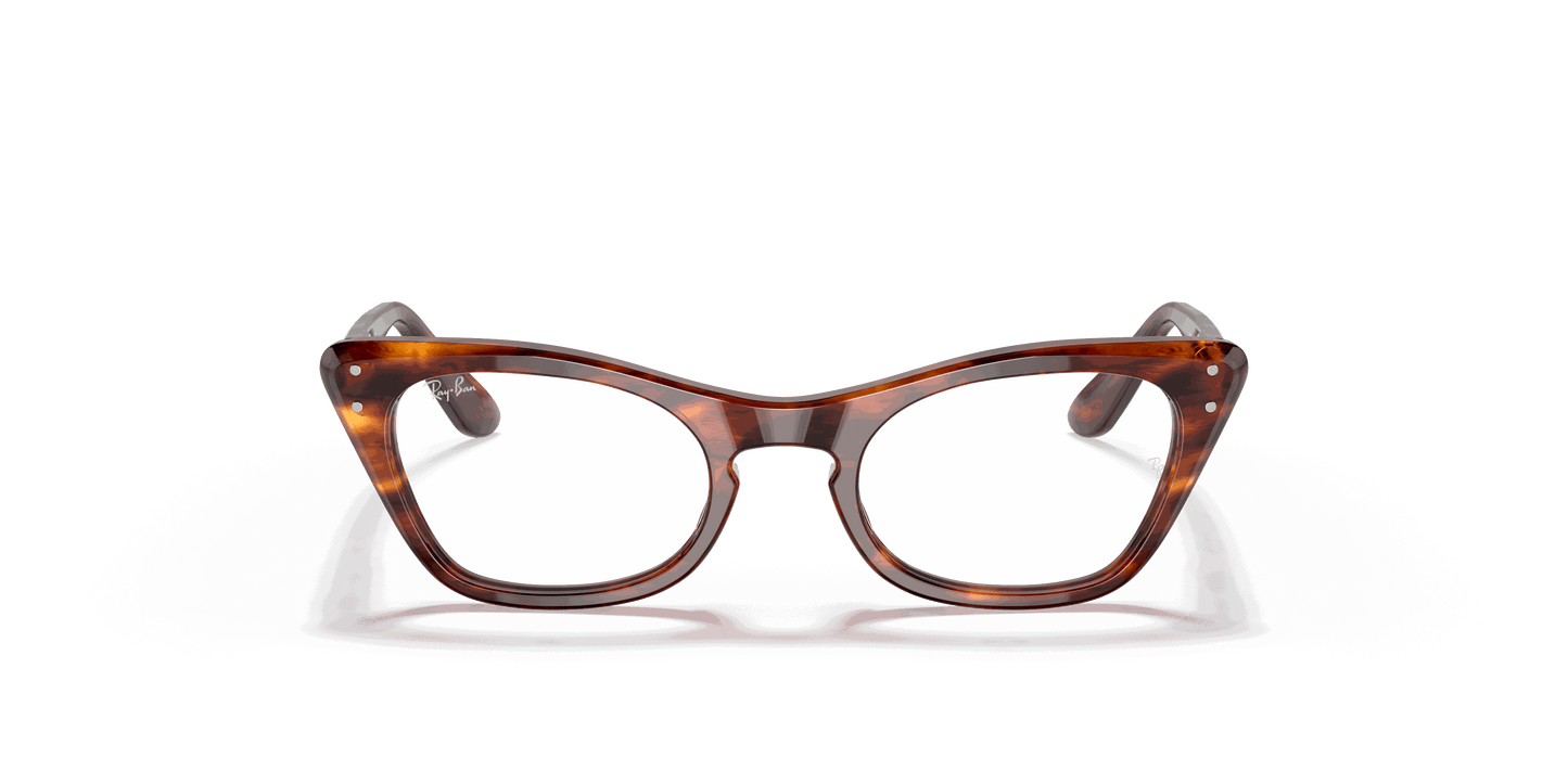 [Clear Lenses, Polished Striped Havana Frame]
