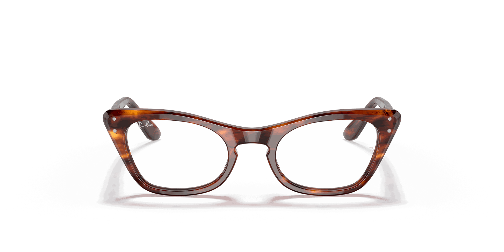 [Clear Lenses, Polished Striped Havana Frame]