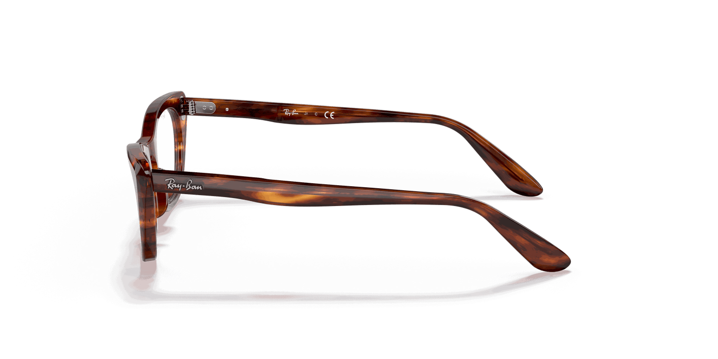 [Clear Lenses, Polished Striped Havana Frame]