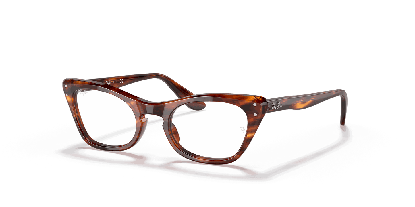 [Clear Lenses, Polished Striped Havana Frame]