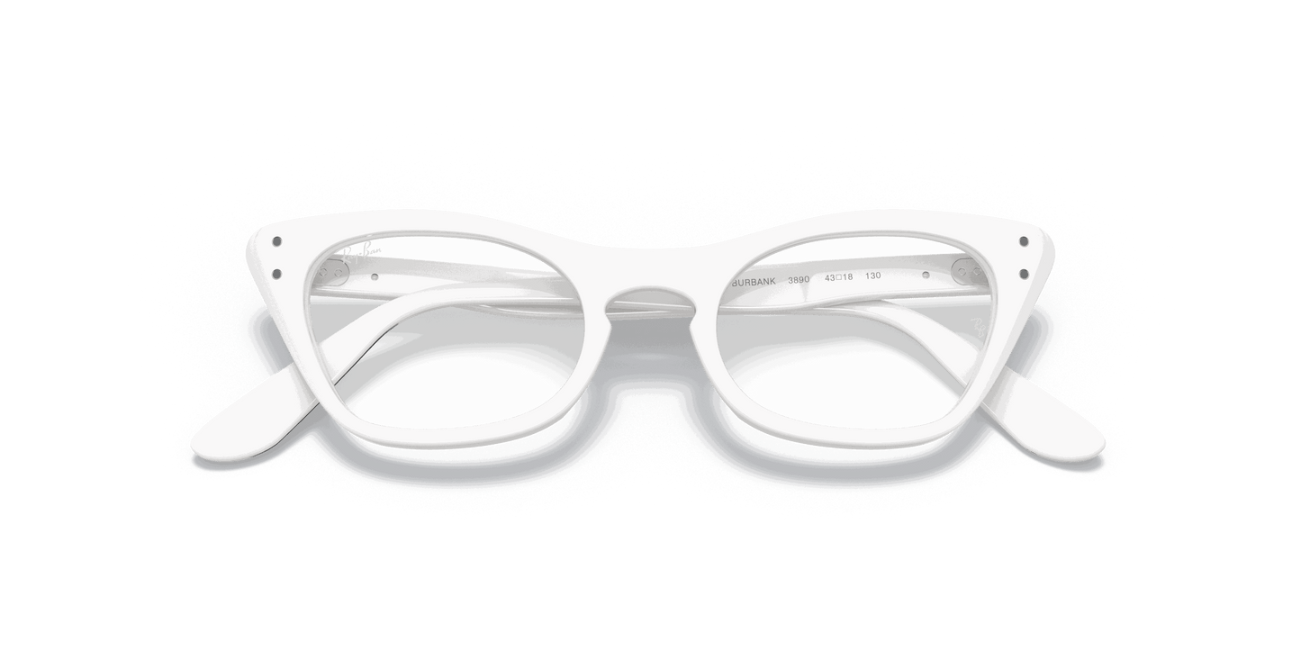 [Clear Lenses, Polished White Frame]