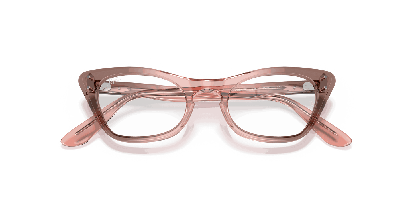 [Clear Lenses, Polished Transparent Pink Frame]
