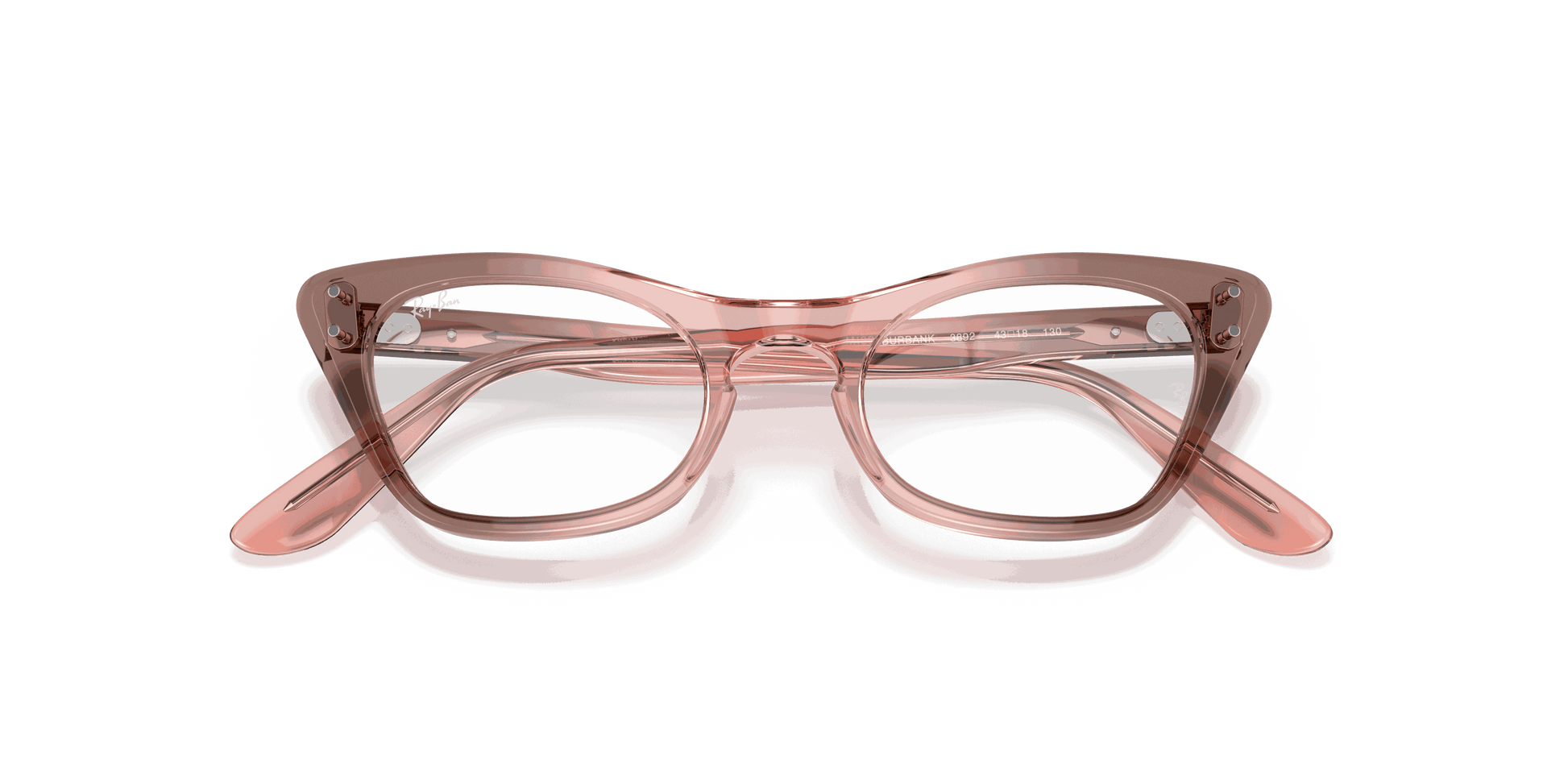 [Clear Lenses, Polished Transparent Pink Frame]