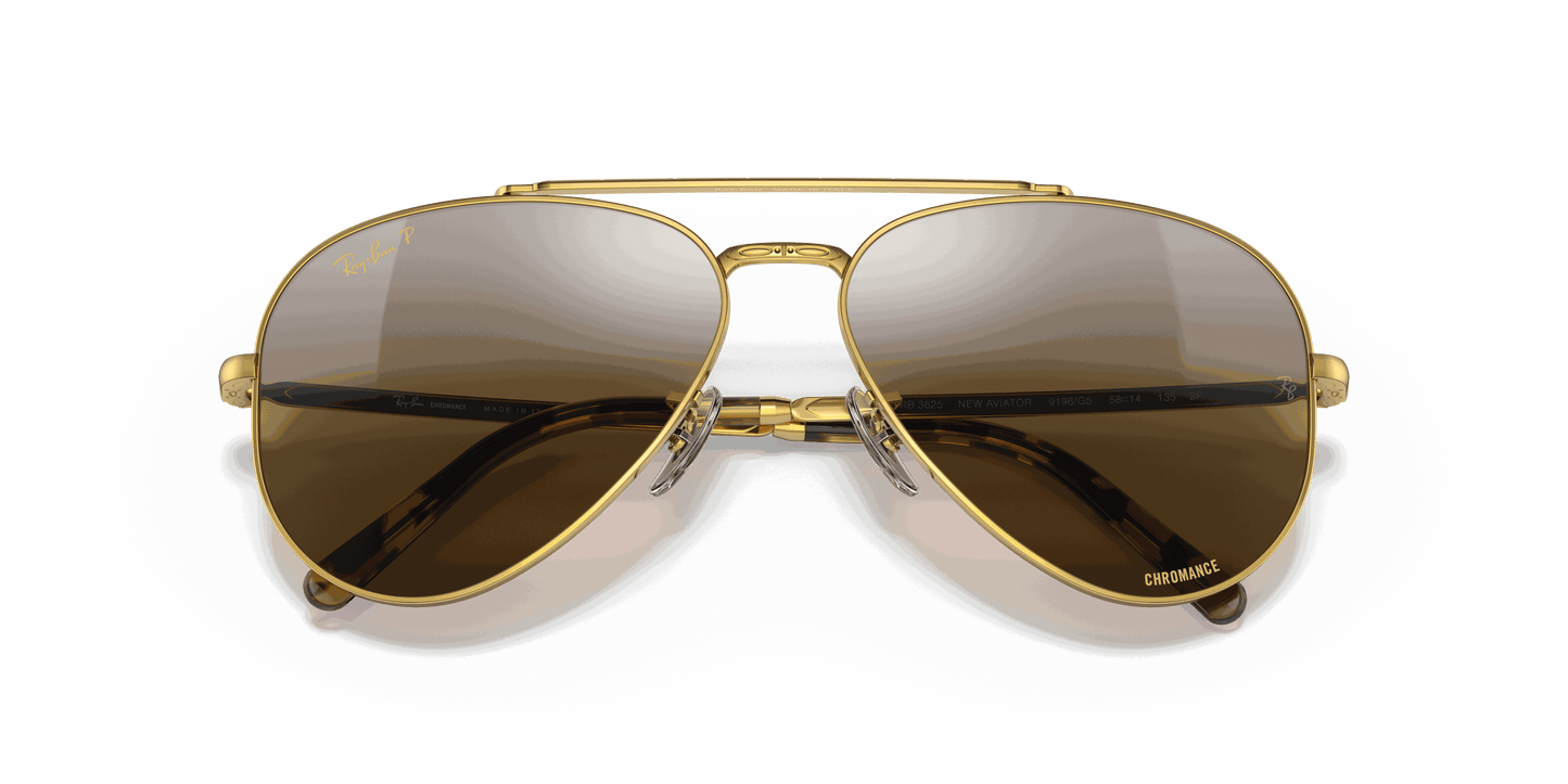 [Silver/Brown Lenses, Polished Gold Frame]