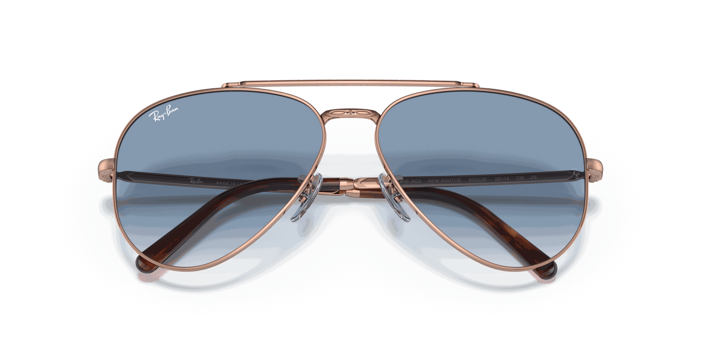 [Clear Blue Lenses, Polished Rose Gold Frame]