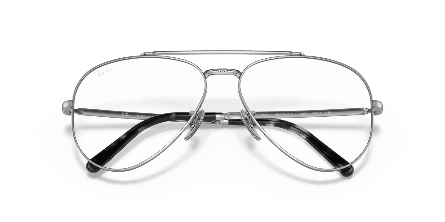 [Clear Lenses, Polished Silver Frame]