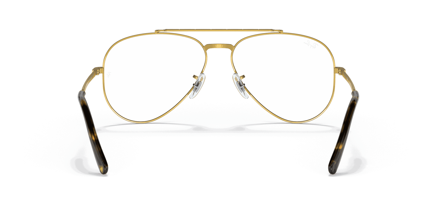 [Clear Lenses, Polished Gold Frame]