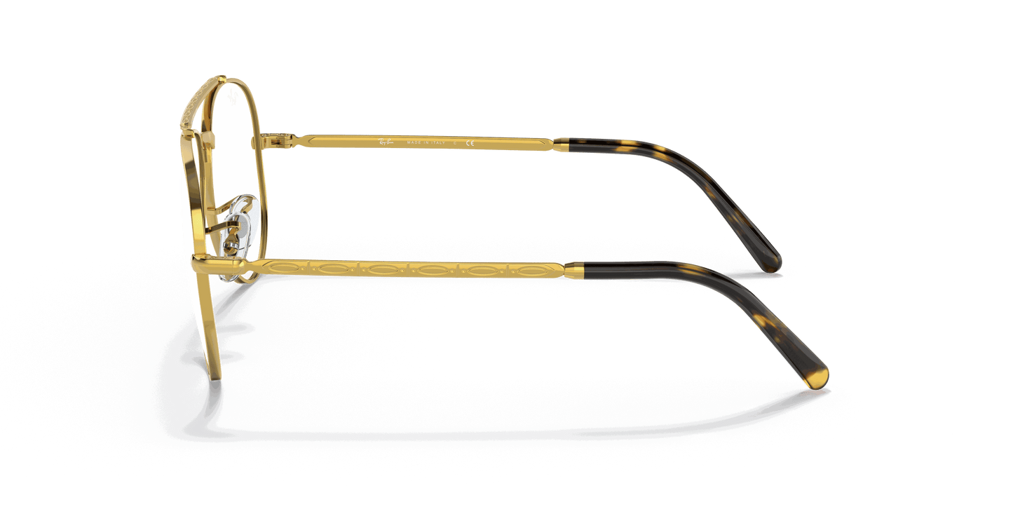 [Clear Lenses, Polished Gold Frame]