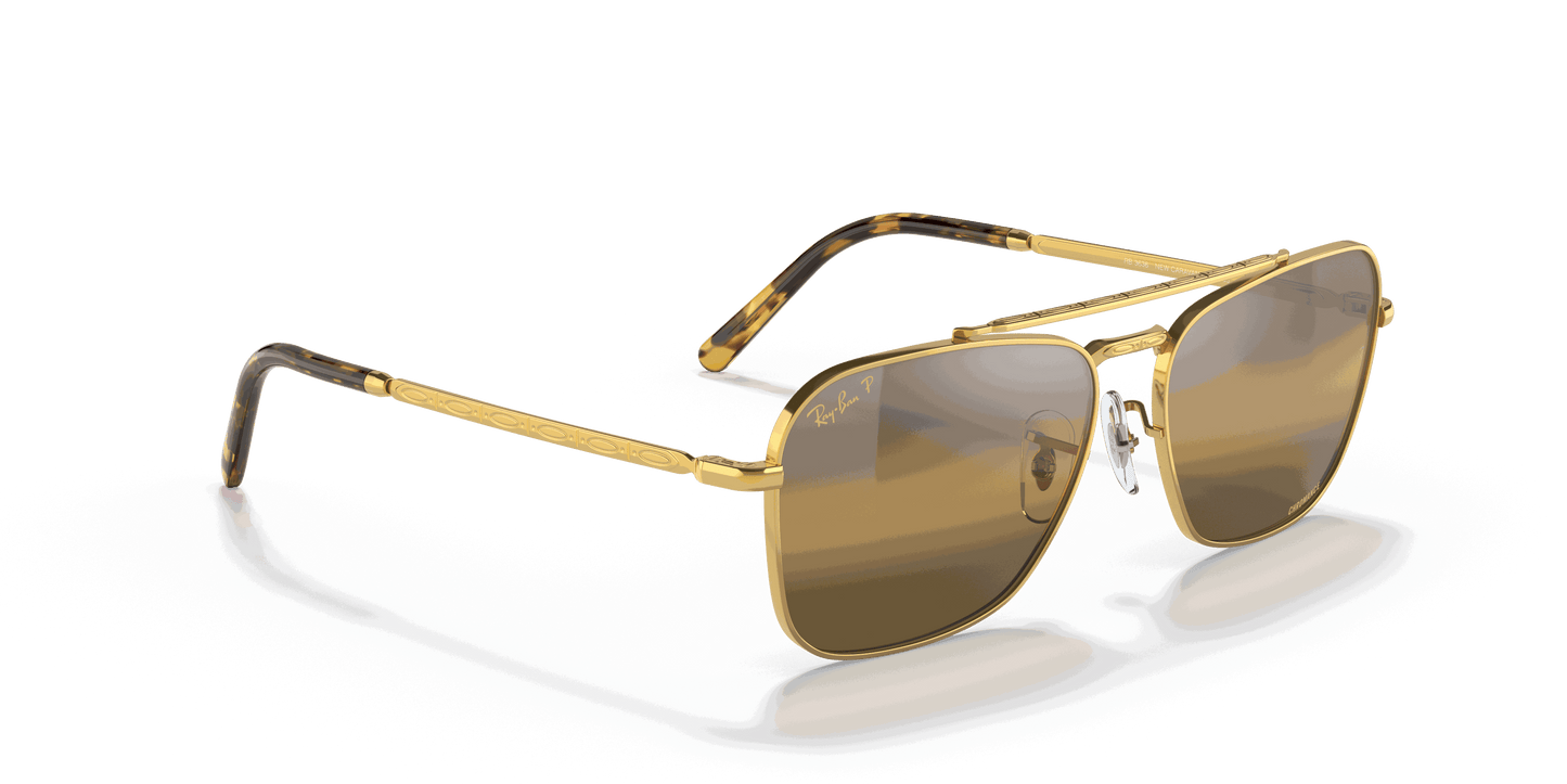 [Silver/Brown Lenses, Polished Gold Frame]