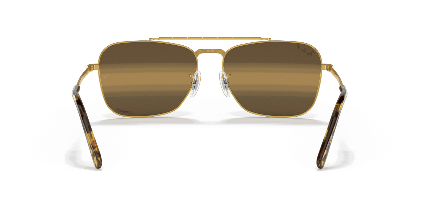 [Silver/Brown Lenses, Polished Gold Frame]