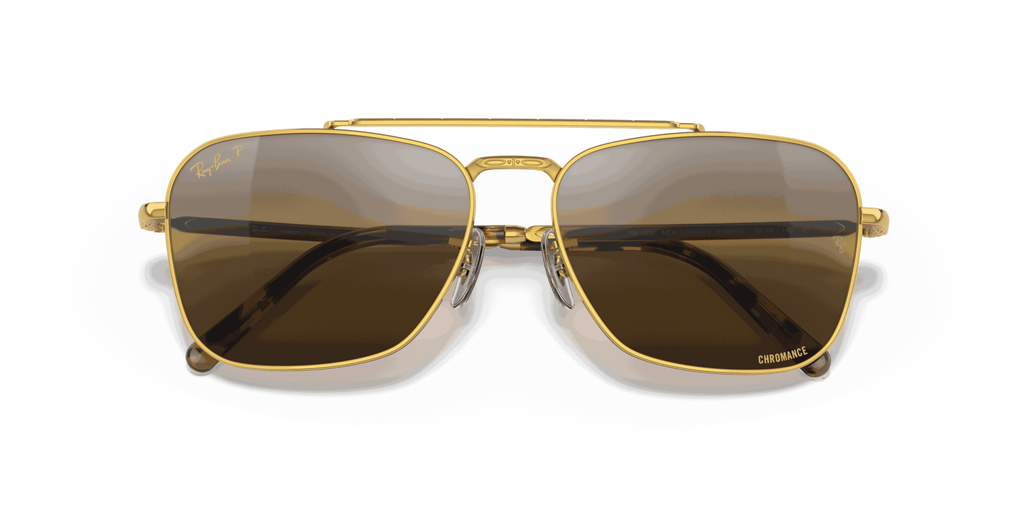 [Silver/Brown Lenses, Polished Gold Frame]