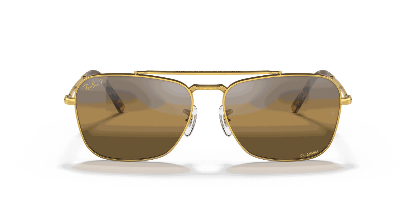 [Silver/Brown Lenses, Polished Gold Frame]