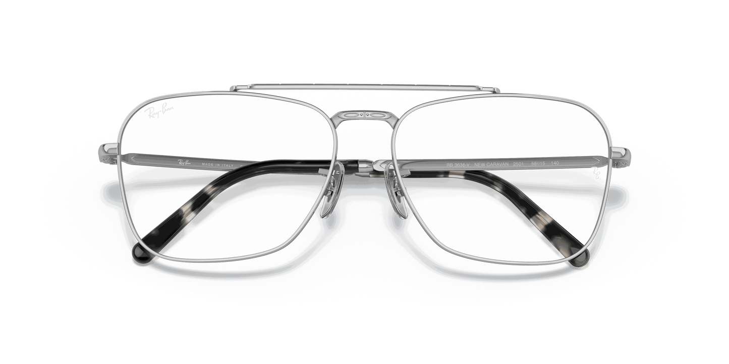 [Clear Lenses, Polished Silver Frame]