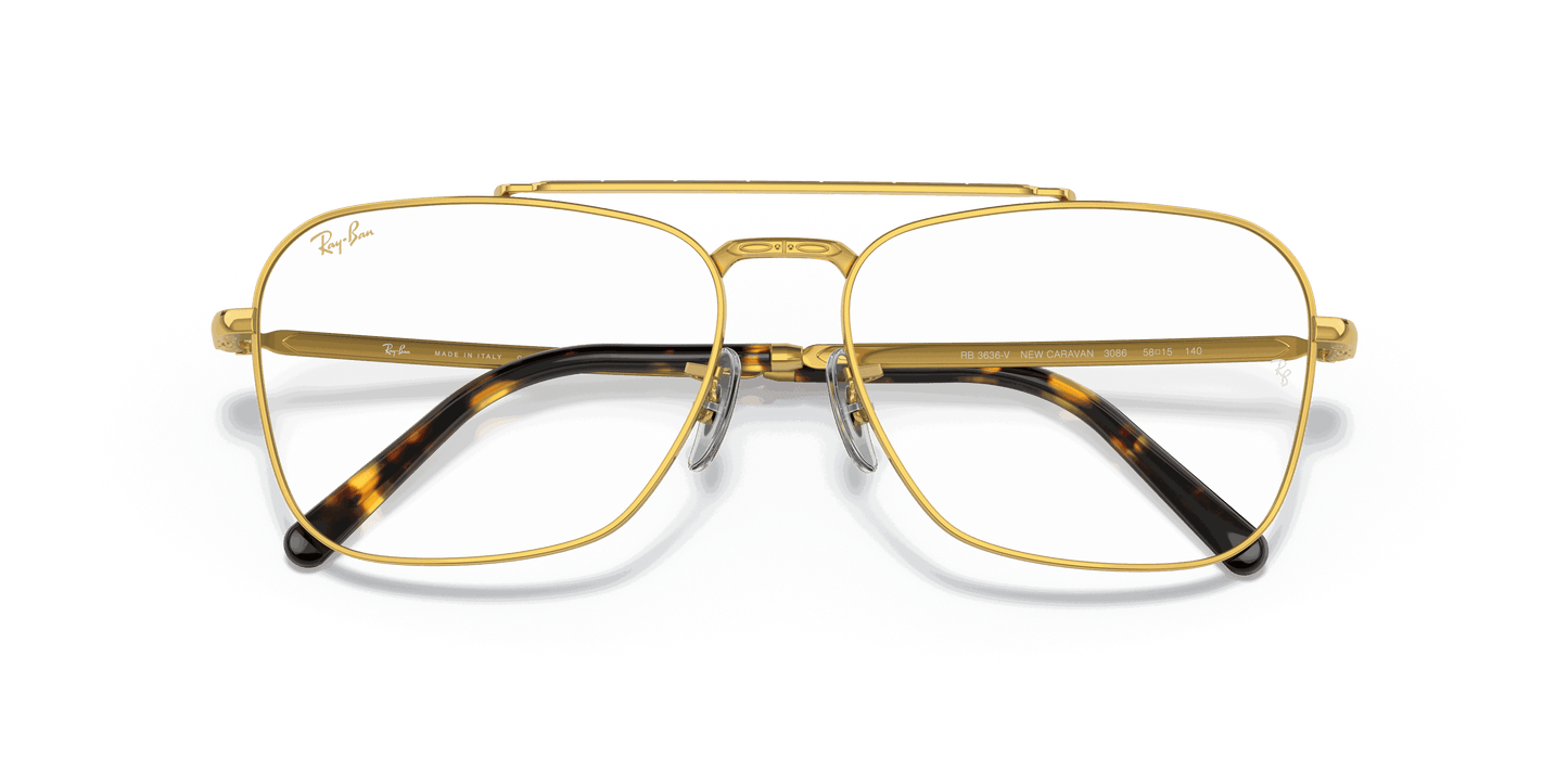 [Clear Lenses, Polished Gold Frame]