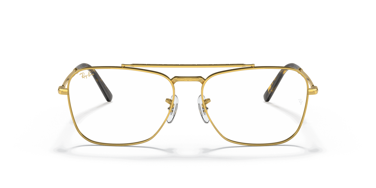 [Clear Lenses, Polished Gold Frame]