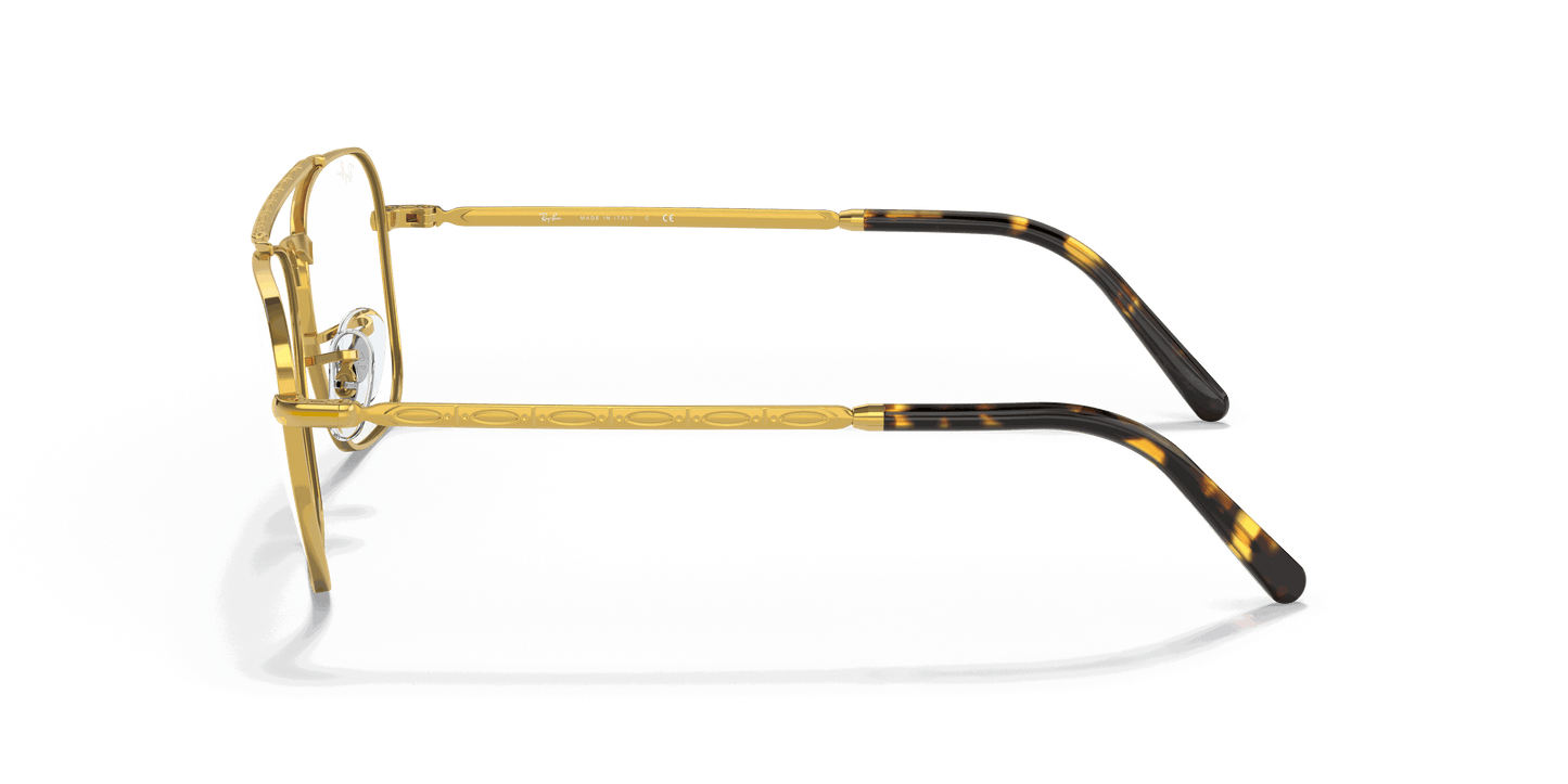 [Clear Lenses, Polished Gold Frame]
