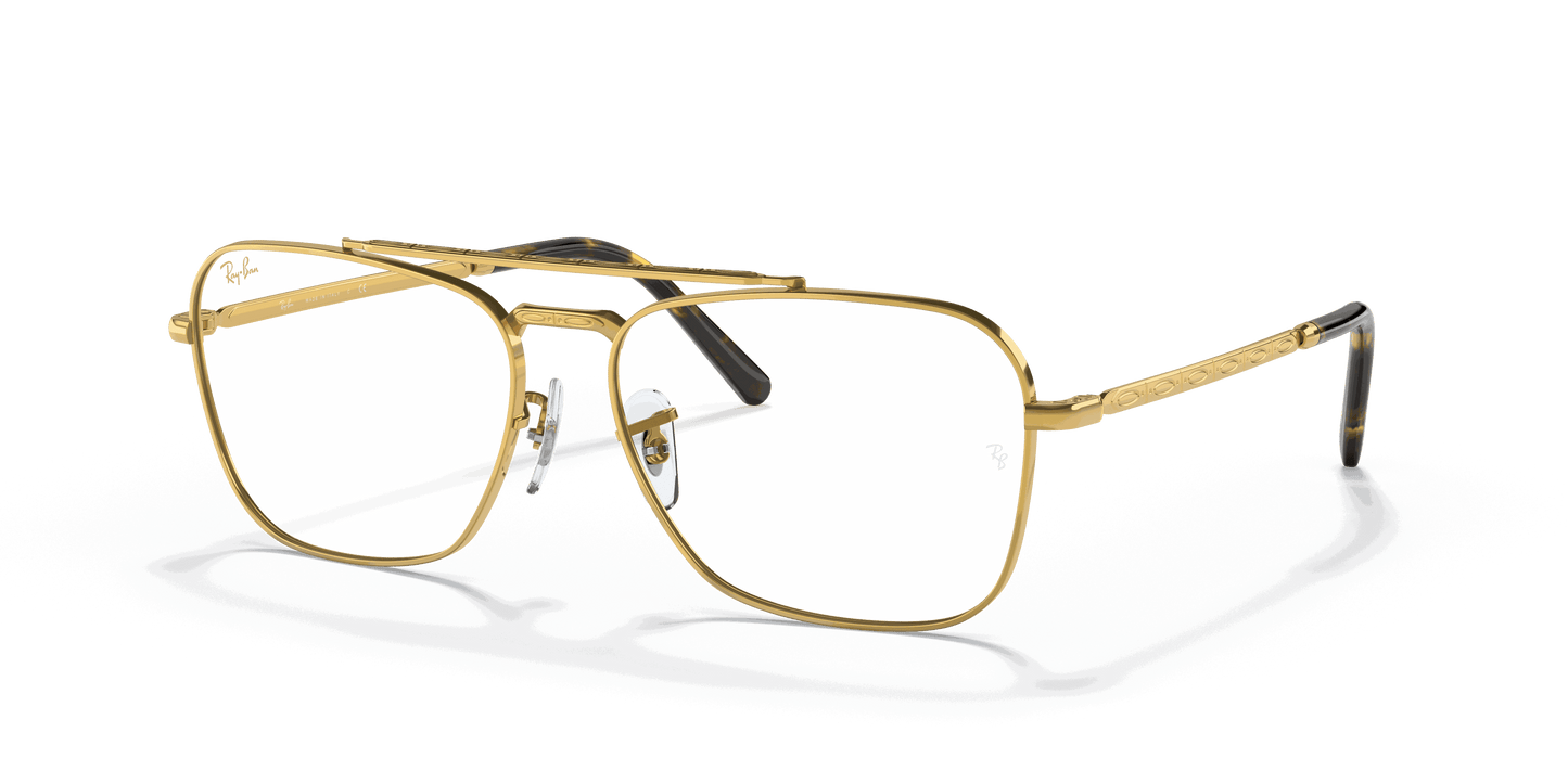 [Clear Lenses, Polished Gold Frame]