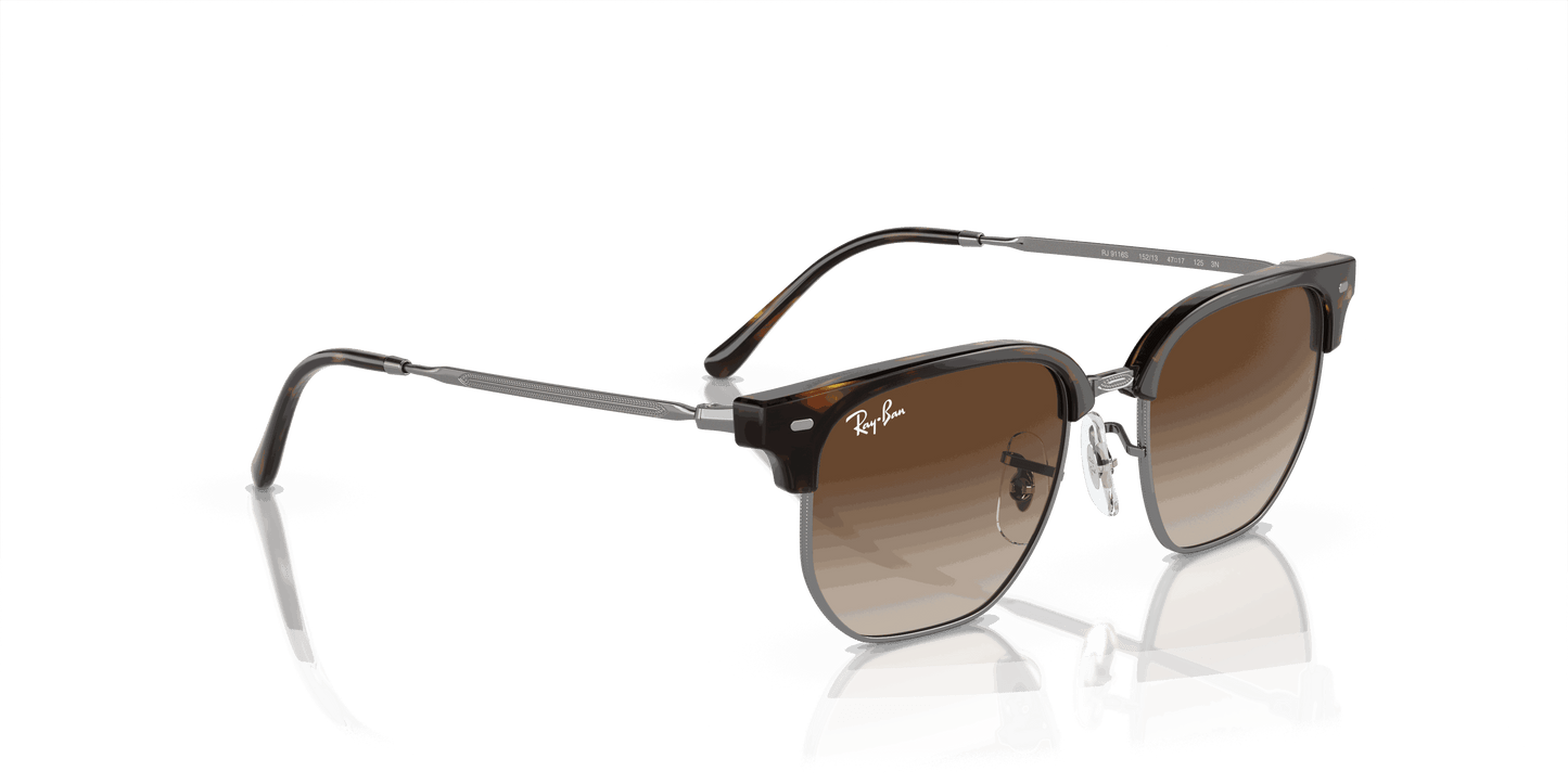 [Brown Lenses, Polished Havana On Gunmetal Frame]