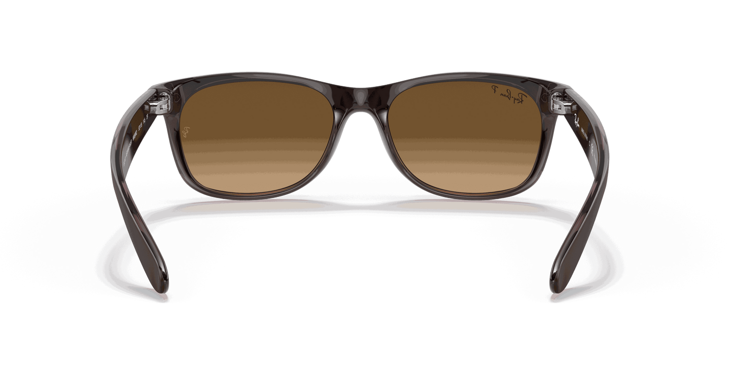 [Brown Lenses, Matte Transparent Brown Frame]