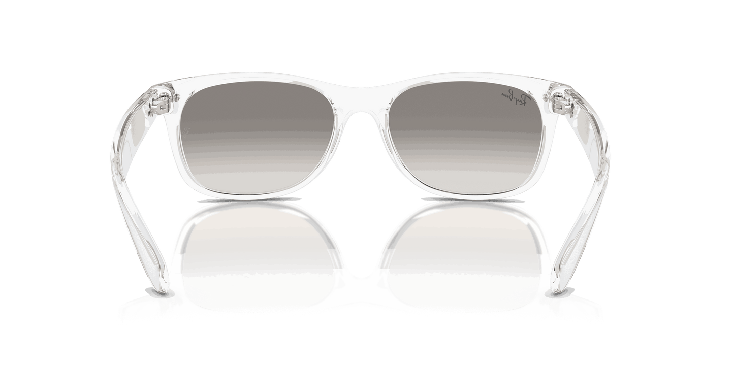 [Clear Grey Lenses, Polished Transparent Frame]