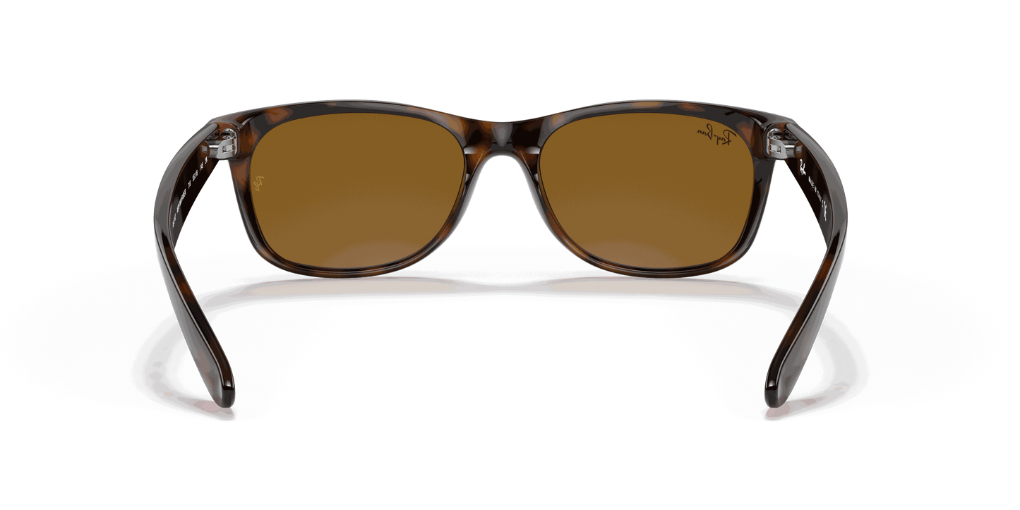 [B-15 Brown Lenses, Polished Light Havana Frame]