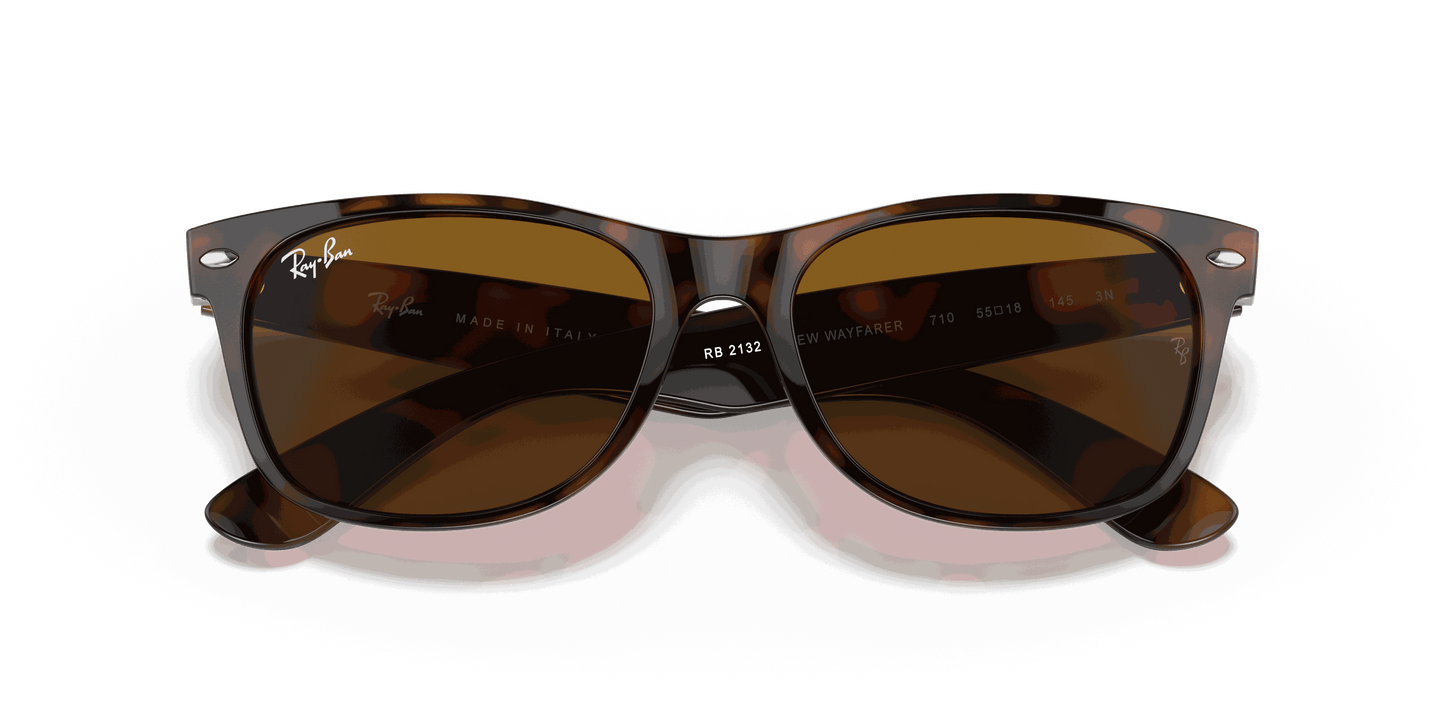 [B-15 Brown Lenses, Polished Light Havana Frame]