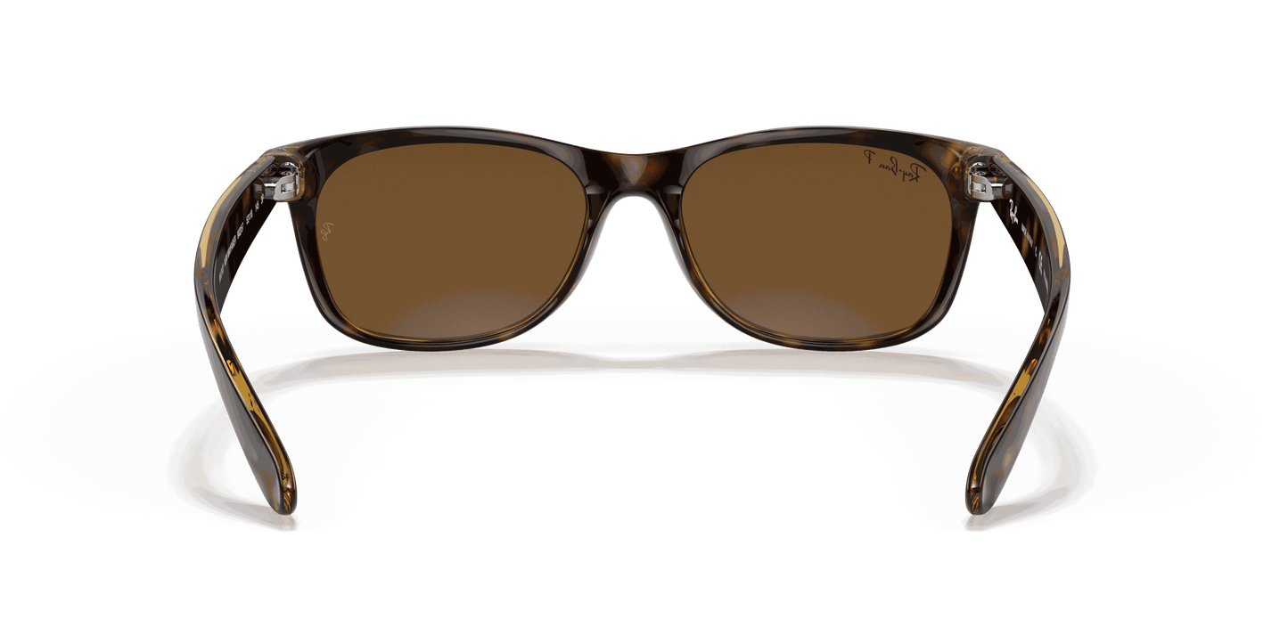 [B-15 Brown Lenses, Polished Tortoise Frame]