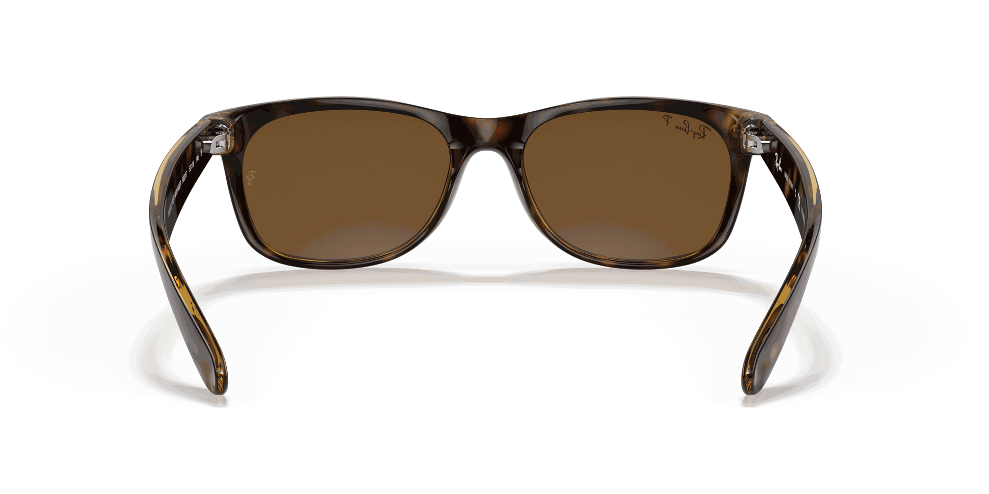 [B-15 Brown Lenses, Polished Tortoise Frame]